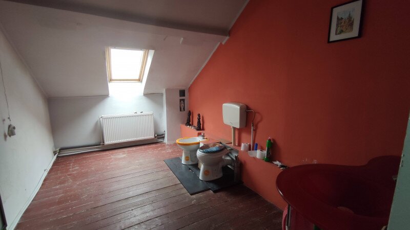 Vasile Lascar, vanzare mansarda la rascruce de drumuri